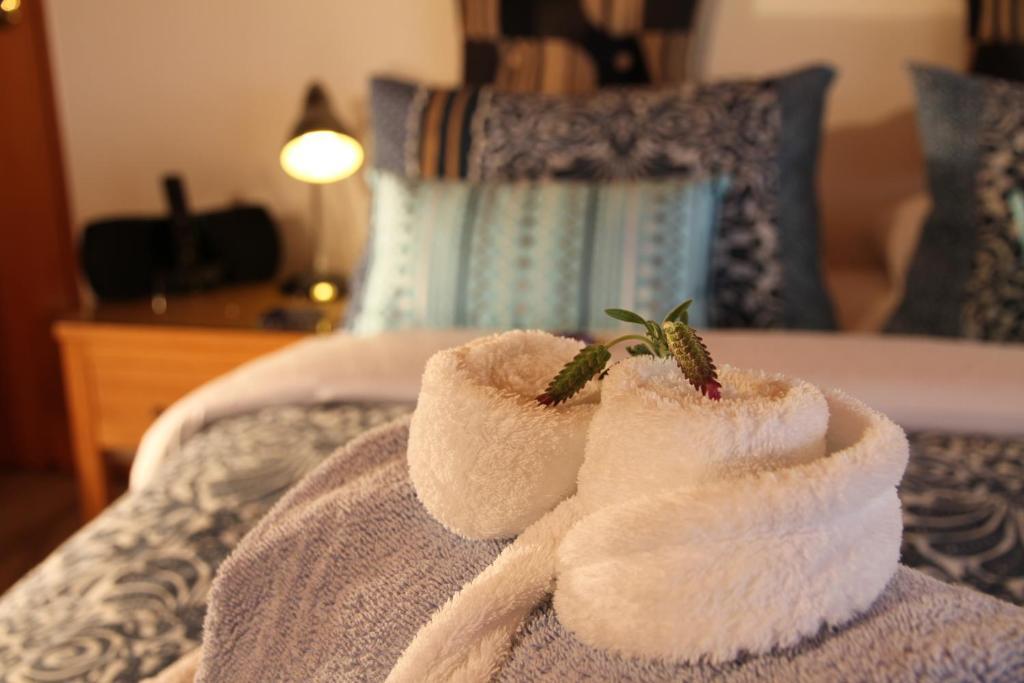 Chalet Romantica Paihia Ruang foto